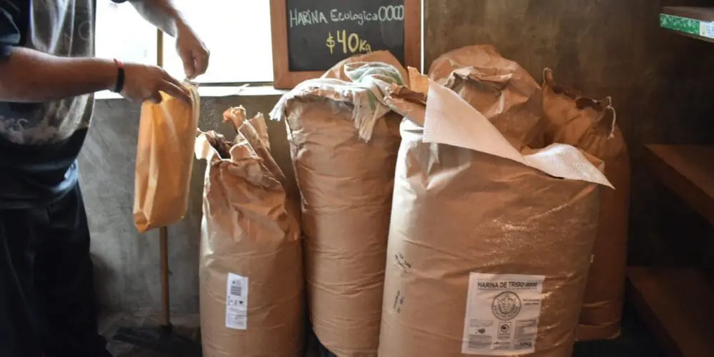 Harina agroecológica Santa Fe