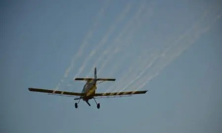 Contra los mosquitos