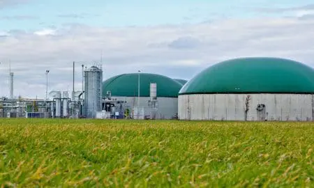 Diputados socialistas Biometano