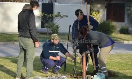 Venado Tuerto Mes del árbol