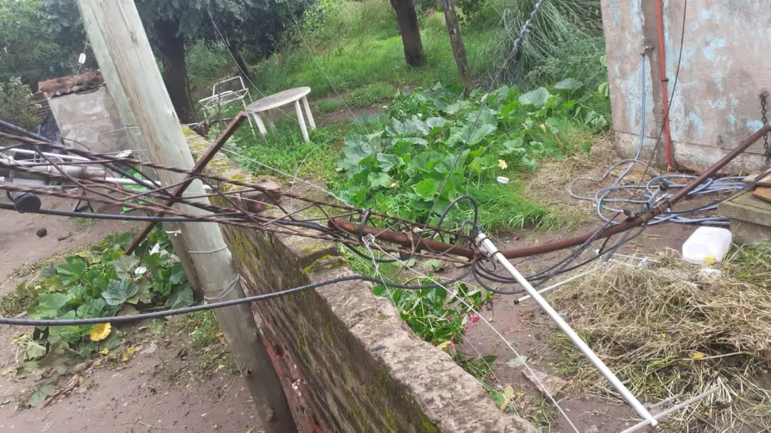 Teodelina: Fuertes vientos azotaron la localidad