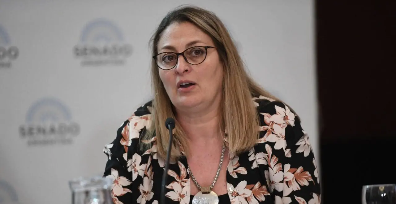 Salud digital: La diputada Ciancio expuso en el Senado de la Nación