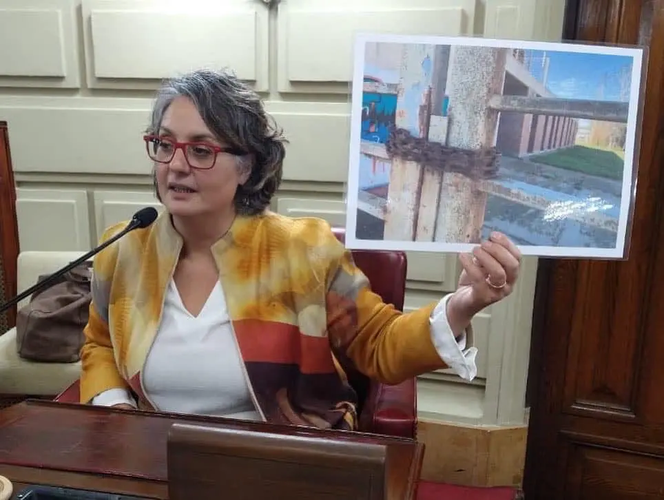La diputada Rosana Bellatti termina otro año de intensa labor legislativa y territorial