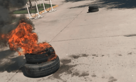 La Picasa: En la guerra del pejerrey sacaron ventaja los pescadores de San Gregorio