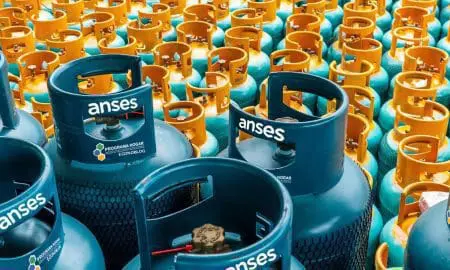 Relanzan el Programa Hogar 2023 de ANSES