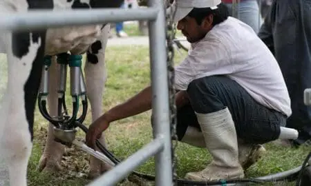 Enrico pide al gobierno provincial medidas que mejoren la remuneración del tambero por la leche que produce