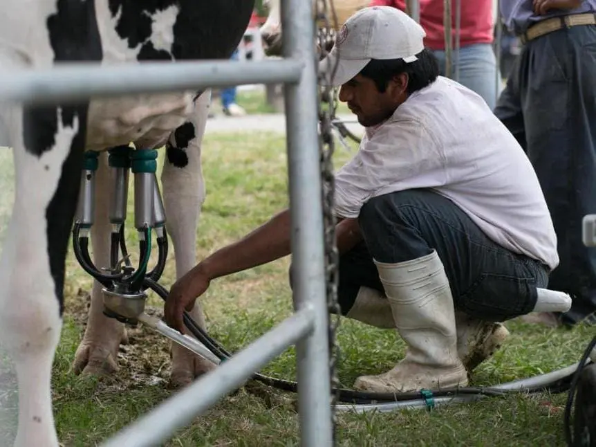 Enrico pide al gobierno provincial medidas que mejoren la remuneración del tambero por la leche que produce