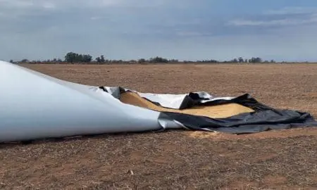 Villa Cañás: Robaron soja de un campo y desmantelaron una camioneta