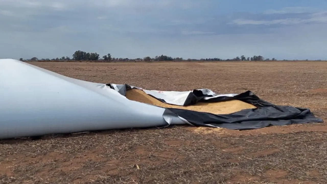 Villa Cañás: Robaron soja de un campo y desmantelaron una camioneta
