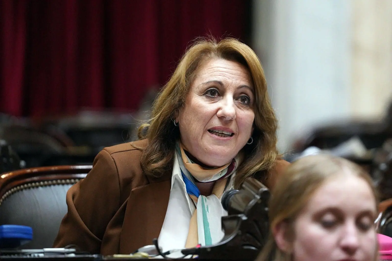 Mónica Fein: Perotti es un kirchnerista arrepentido que no defiende a Santa Fe y tampoco consigue fondos