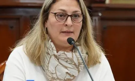 Salud mental: Ciancio pide informes al gobierno provincial