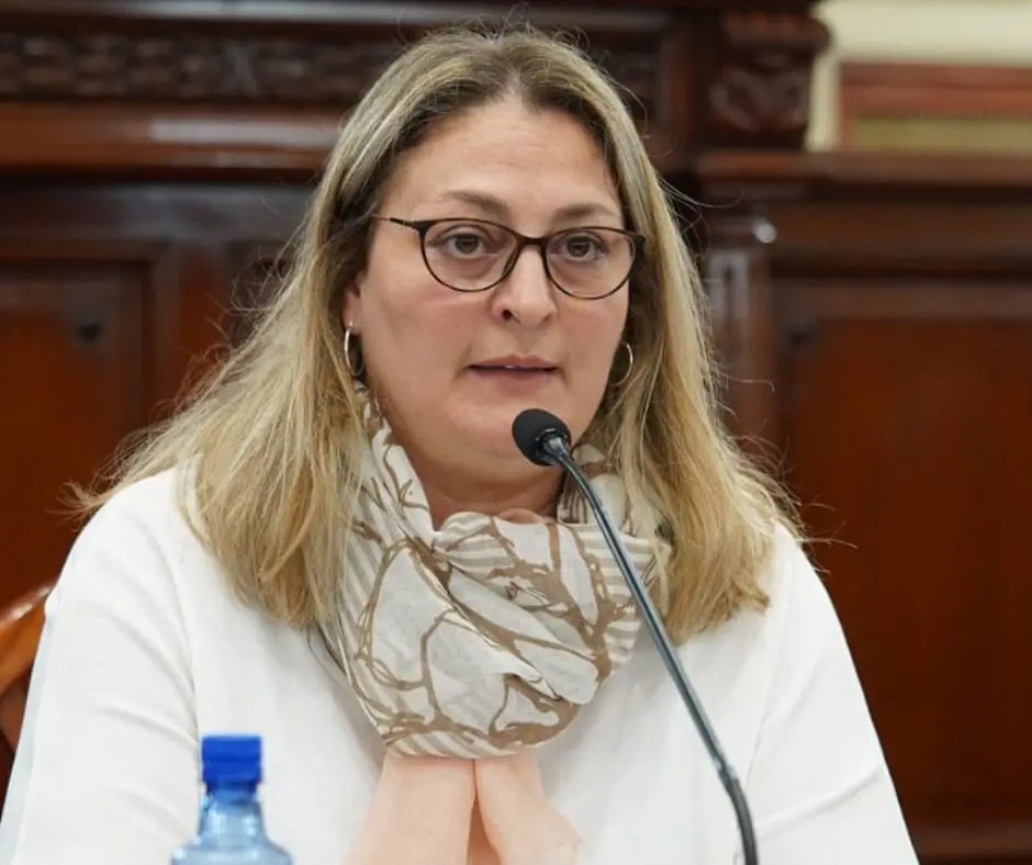 Salud mental: Ciancio pide informes al gobierno provincial