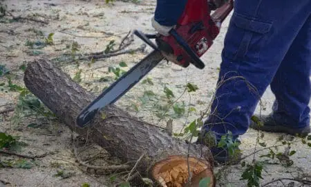 Venado Tuerto: El gobierno municipal ya distribuyó cerca de 5 mil kilos de leña para calefacción de hogares