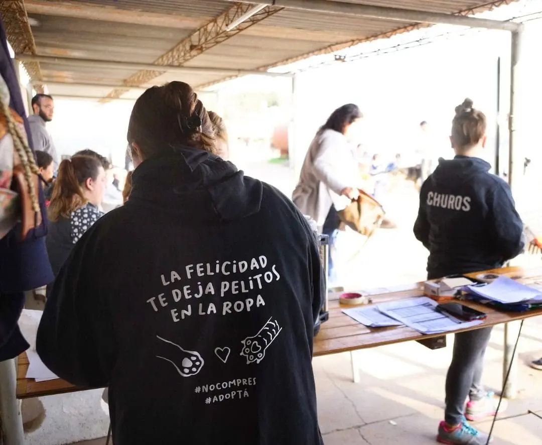 Gobierno de Santa Isabel y Acpic unen esfuerzos en nuevas jornadas de castración y vacunación antirrábica Gobierno de Santa Isabel y Acpic unen esfuerzos en nuevas jornadas de castración y vacunación antirrábica