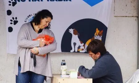 Gobierno de Santa Isabel y Acpic unen esfuerzos en nuevas jornadas de castración y vacunación antirrábica