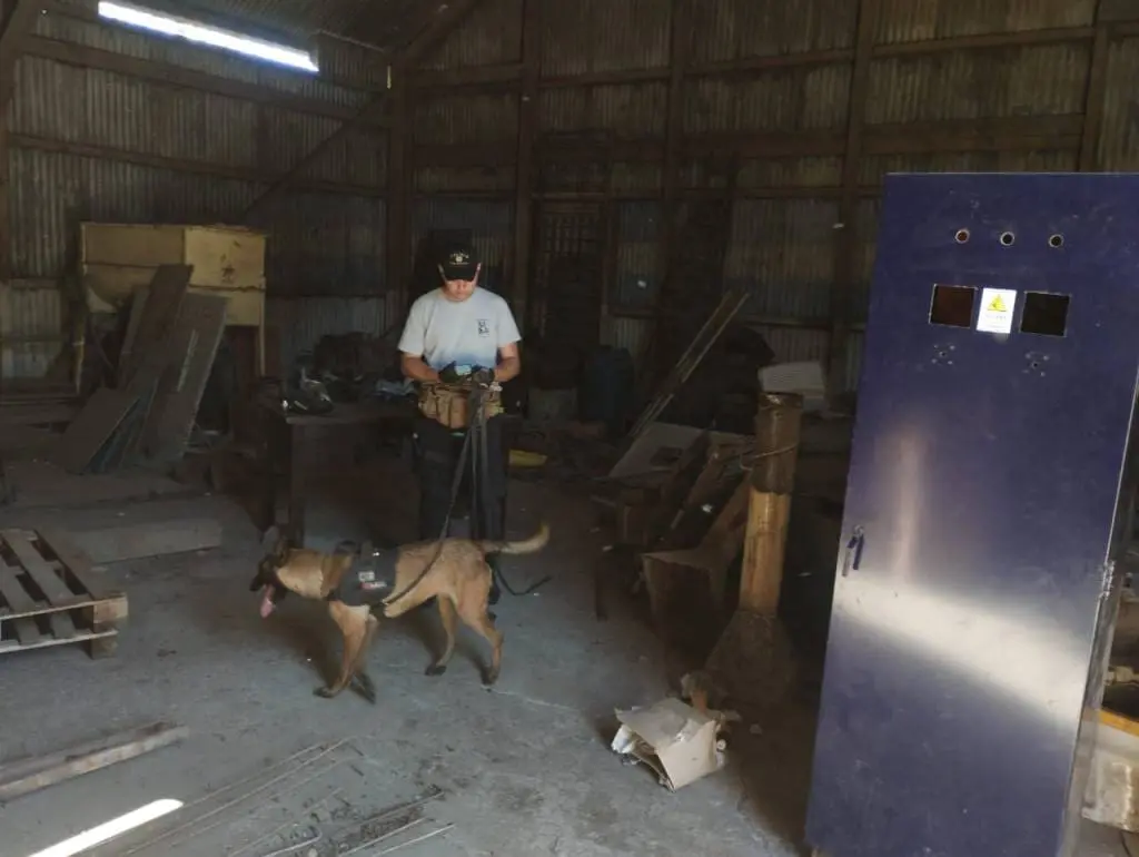 Femicidio en Venado Tuerto: Detuvieron al esposo de la víctima Femicidio en Venado Tuerto: Detuvieron al esposo de la víctima