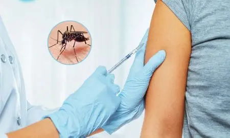 Dengue en Santa Fe: Habrá vacunas, pero no podrán aplicarselas a todos