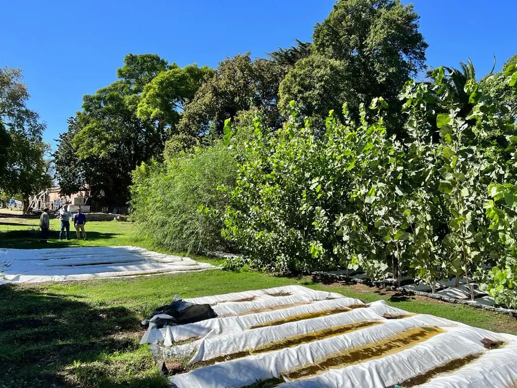 El vivero departamental impulsado por el senador Enrico ya da sus frutos a la región