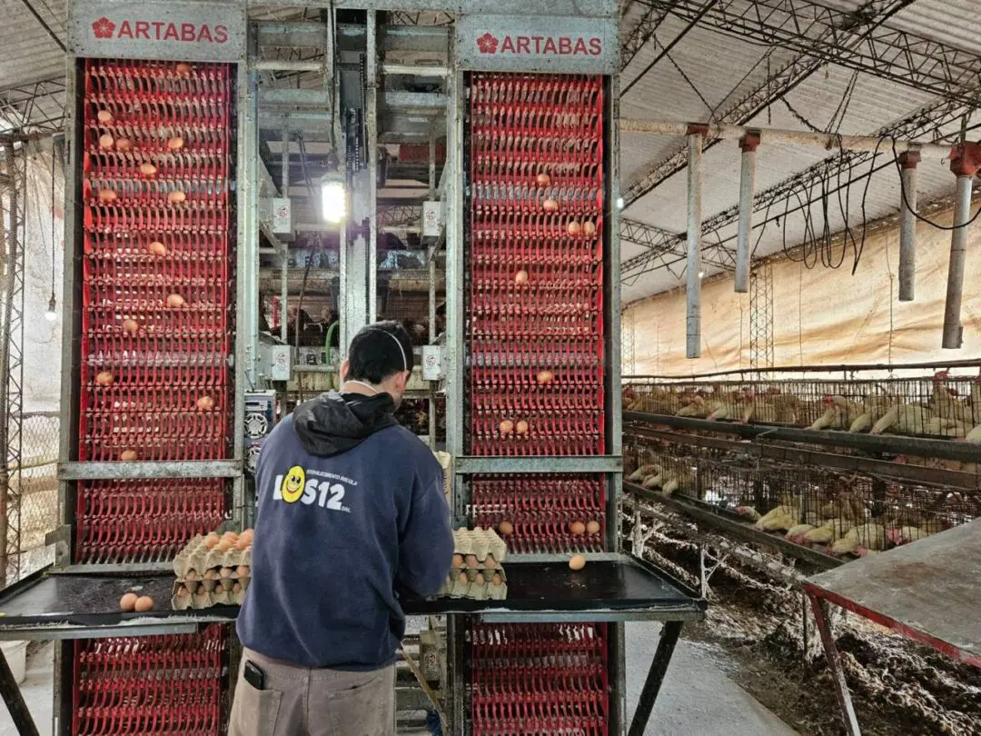 Bellati acompaña el desarrollo de las economías regionales Bellati acompaña el desarrollo de las economías regionales