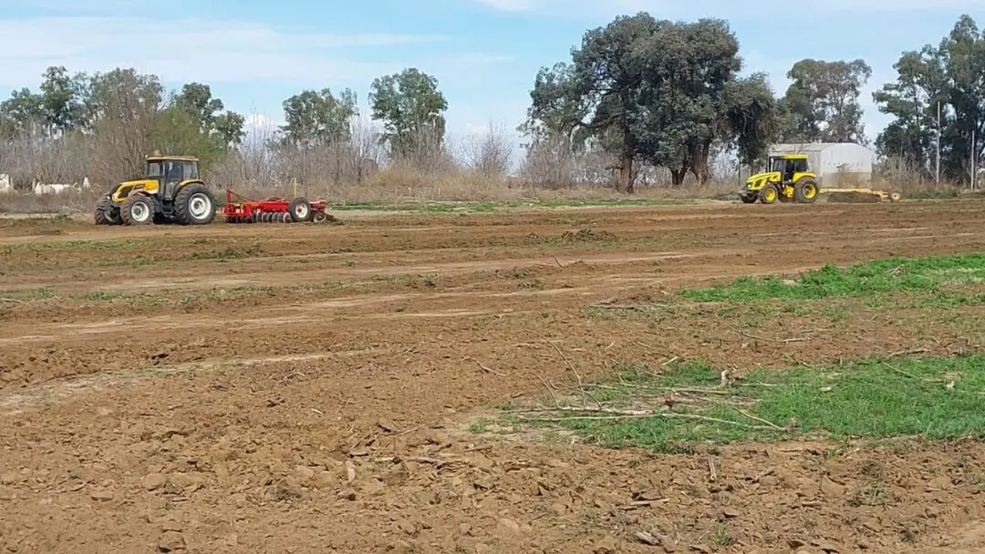 Santa Isabel avanza: La Comuna adquiere terreno para nuevas viviendas Santa Isabel avanza: La Comuna adquiere terreno para nuevas viviendas