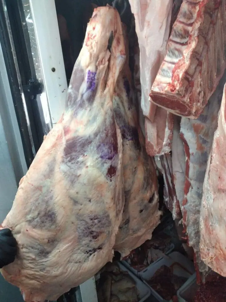 Villa Cañás: Decomisaron 650 kg de carne vacuna en múltiples inspecciones en carnicerías Villa Cañás: Decomisaron 650 kg de carne vacuna en múltiples inspecciones en carnicerías