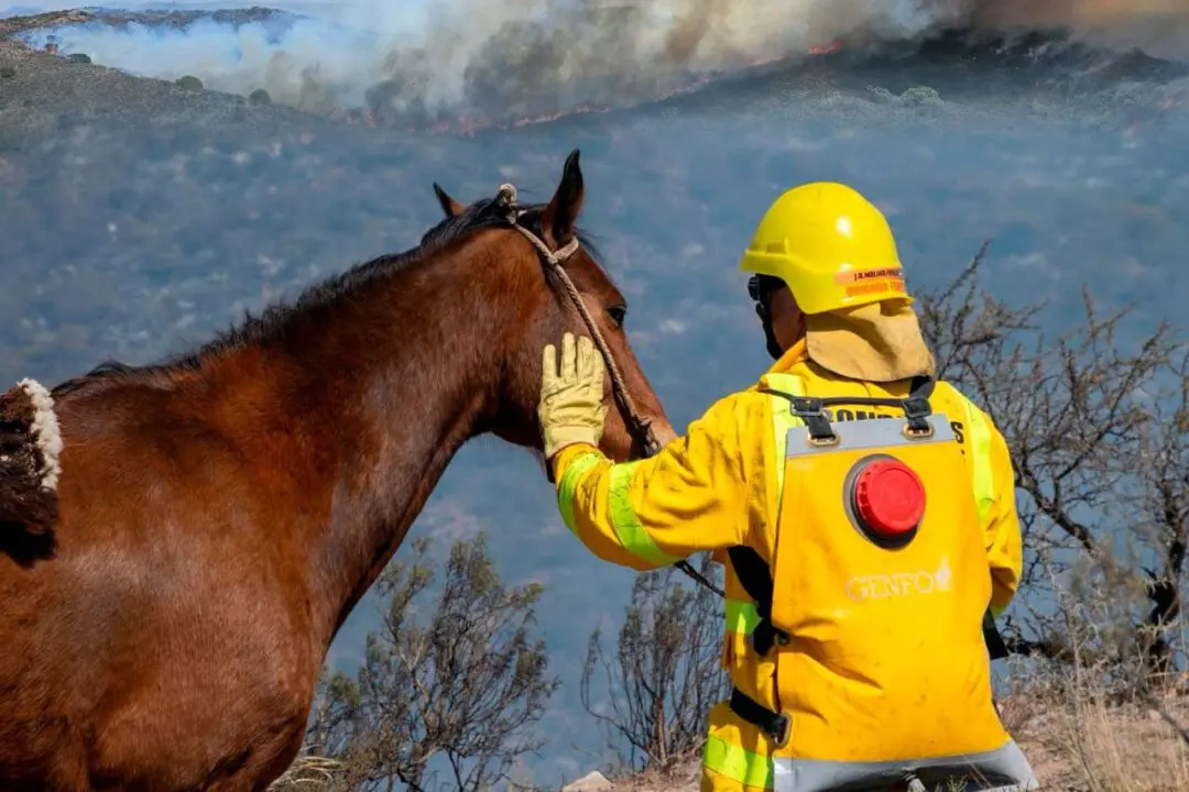 Córdoba: Arduo trabajo de brigadistas santafesinos en el combate de incendios