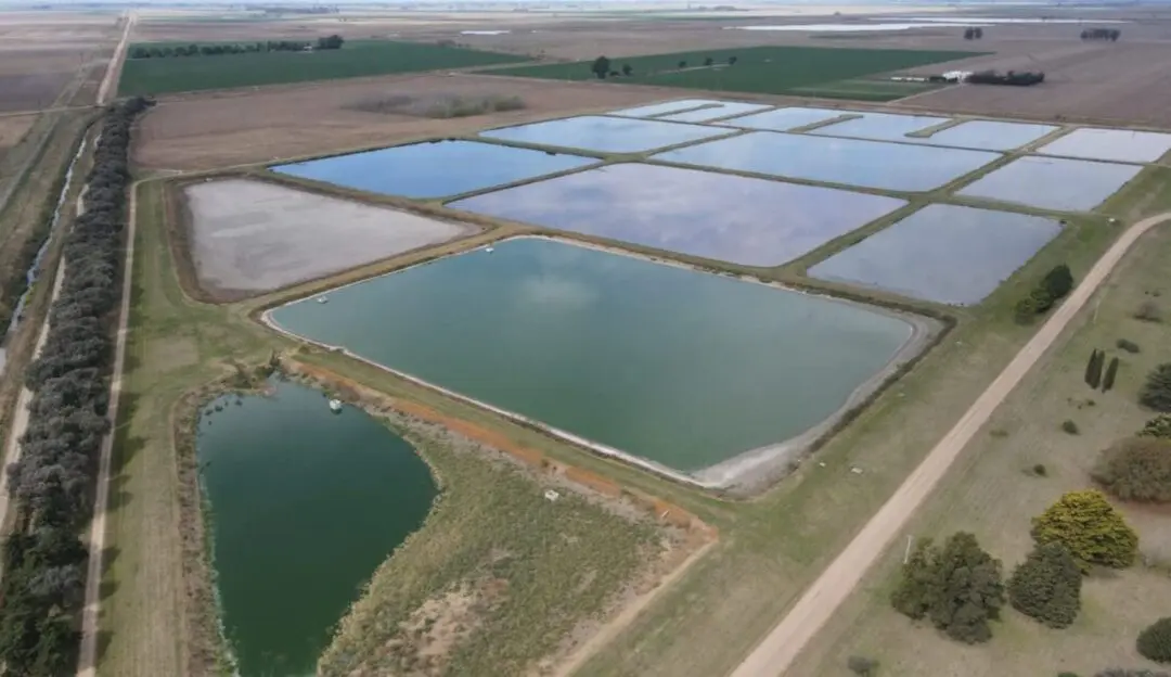 Enrico: Con esta obra del Gobierno Provincial más del 90% de los vecinos de Venado Tuerto tendrá acceso a las cloacas