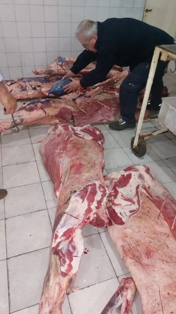 Villa Cañás: Decomisaron 650 kg de carne vacuna en múltiples inspecciones en carnicerías Villa Cañás: Decomisaron 650 kg de carne vacuna en múltiples inspecciones en carnicerías