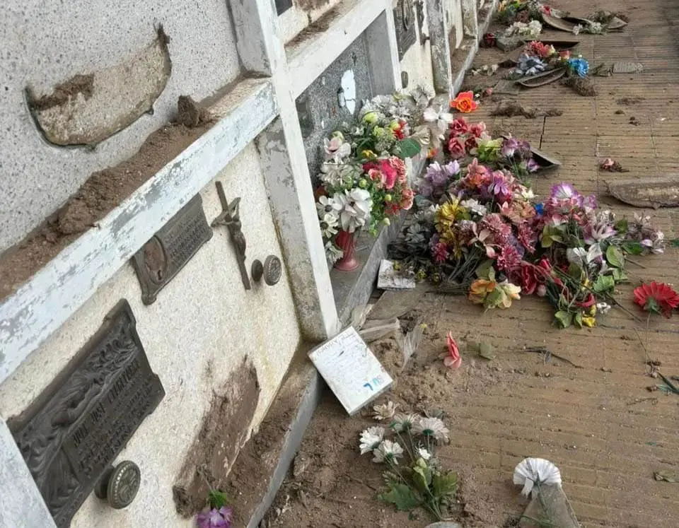 María Teresa: Repudio y denuncia por tumbas vandalizadas