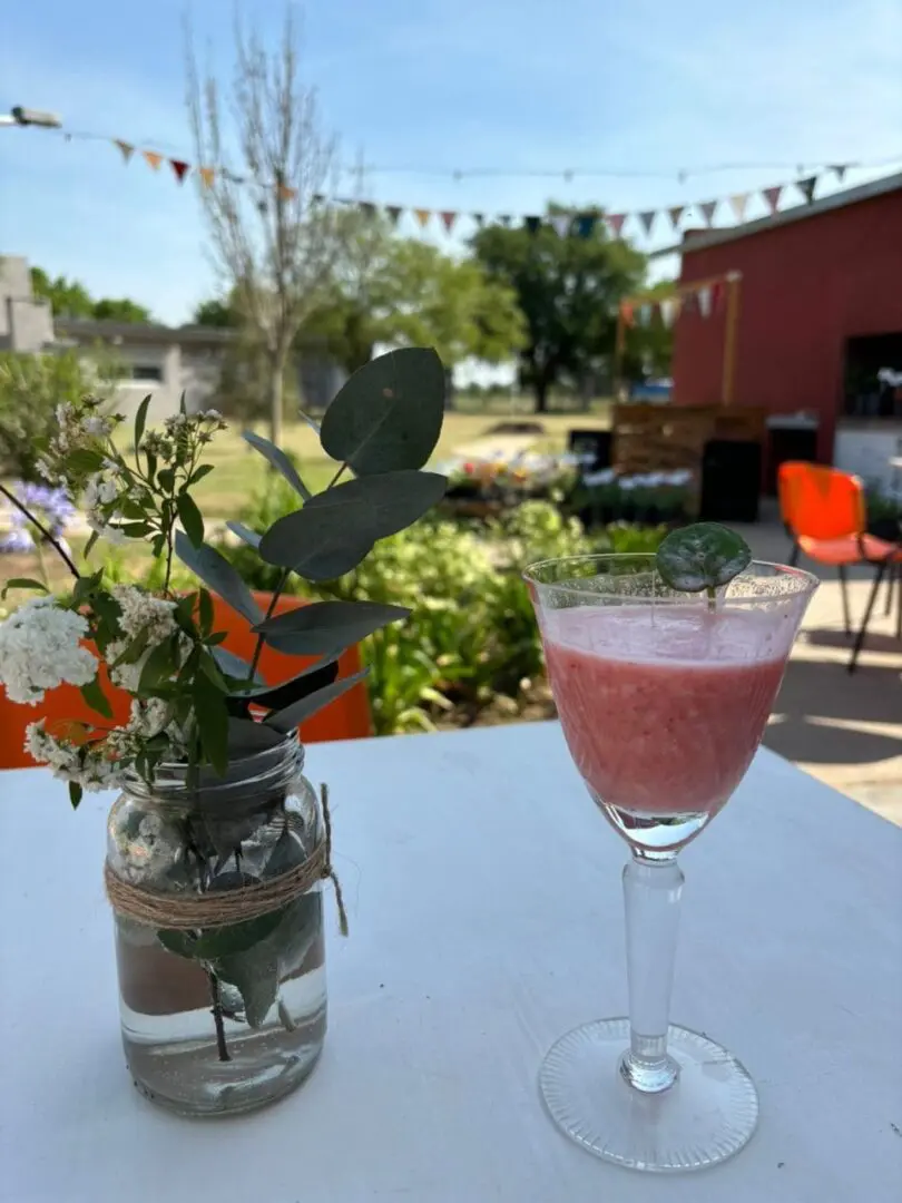 María Teresa: Vivero Café en la RAM, cultivando conexiones, alegría y propósitos María Teresa: Vivero Café en la RAM, cultivando conexiones, alegría y propósitos