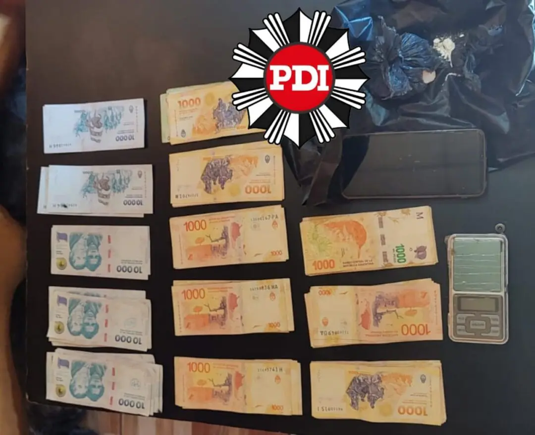 Elortondo: PDI aprehendió a un hombre y secuestró marihuana