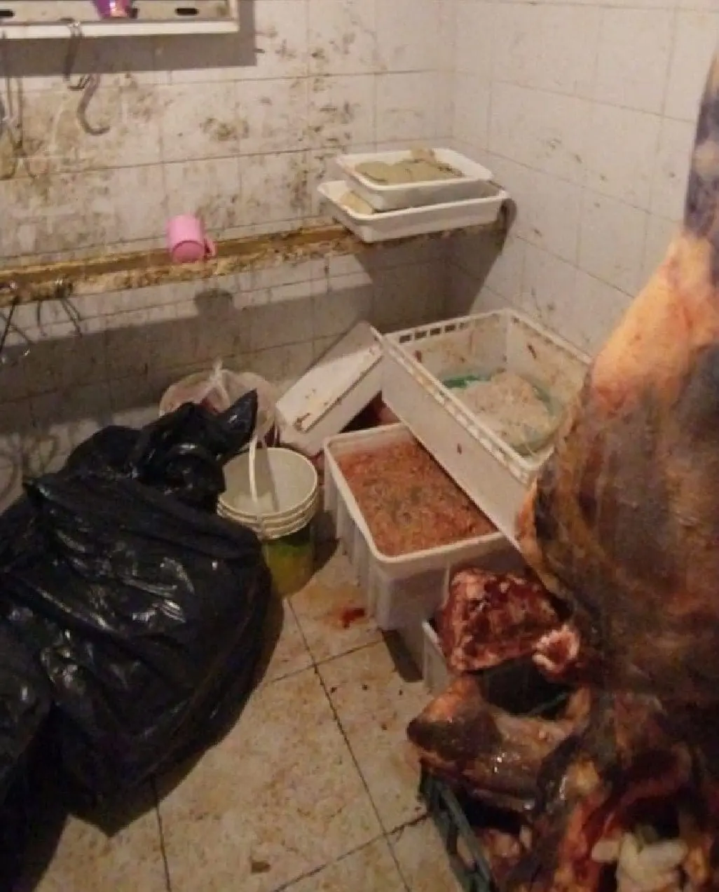 Venado Tuerto: Decomisan más de 1300 kg de carne en mal estado