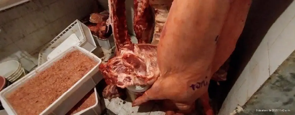 Venado Tuerto: Decomisan más de 1300 kg de carne en mal estado