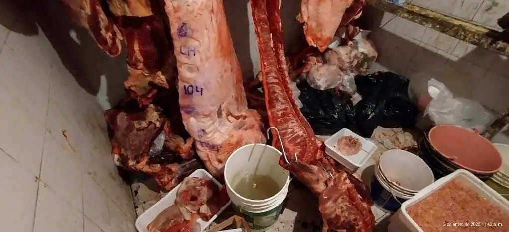 Venado Tuerto: Decomisan más de 1300 kg de carne en mal estado