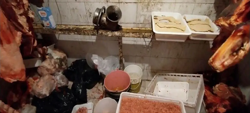 Venado Tuerto: Decomisan más de 1300 kg de carne en mal estado