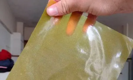 Fabrican un bioplástico con desechos de cítricos que alimenta a la tierra