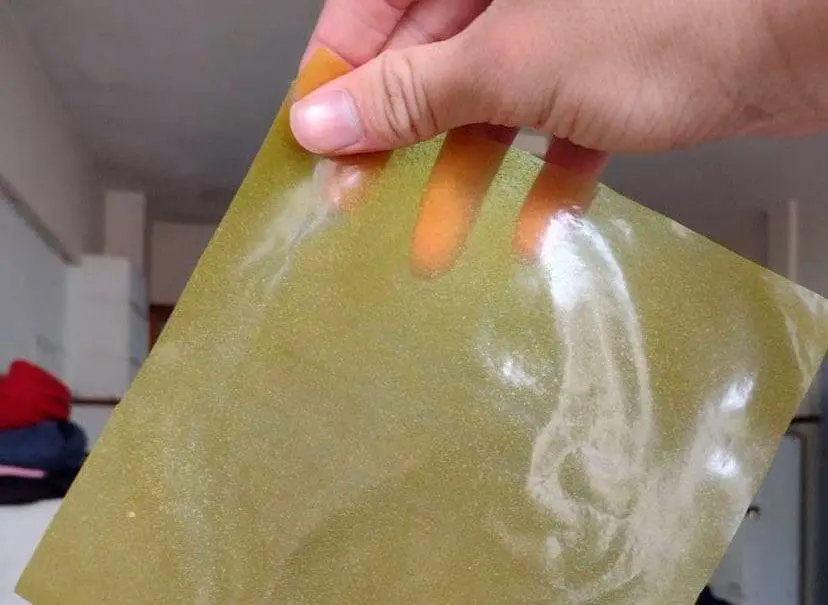 Fabrican un bioplástico con desechos de cítricos que alimenta a la tierra