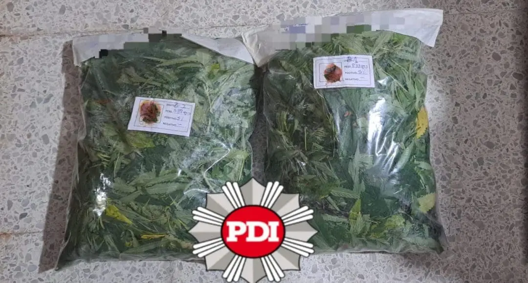 En Santa Isabel y Venado Tuerto: PDI aprehendió a una mujer y a un hombre por venta de droga