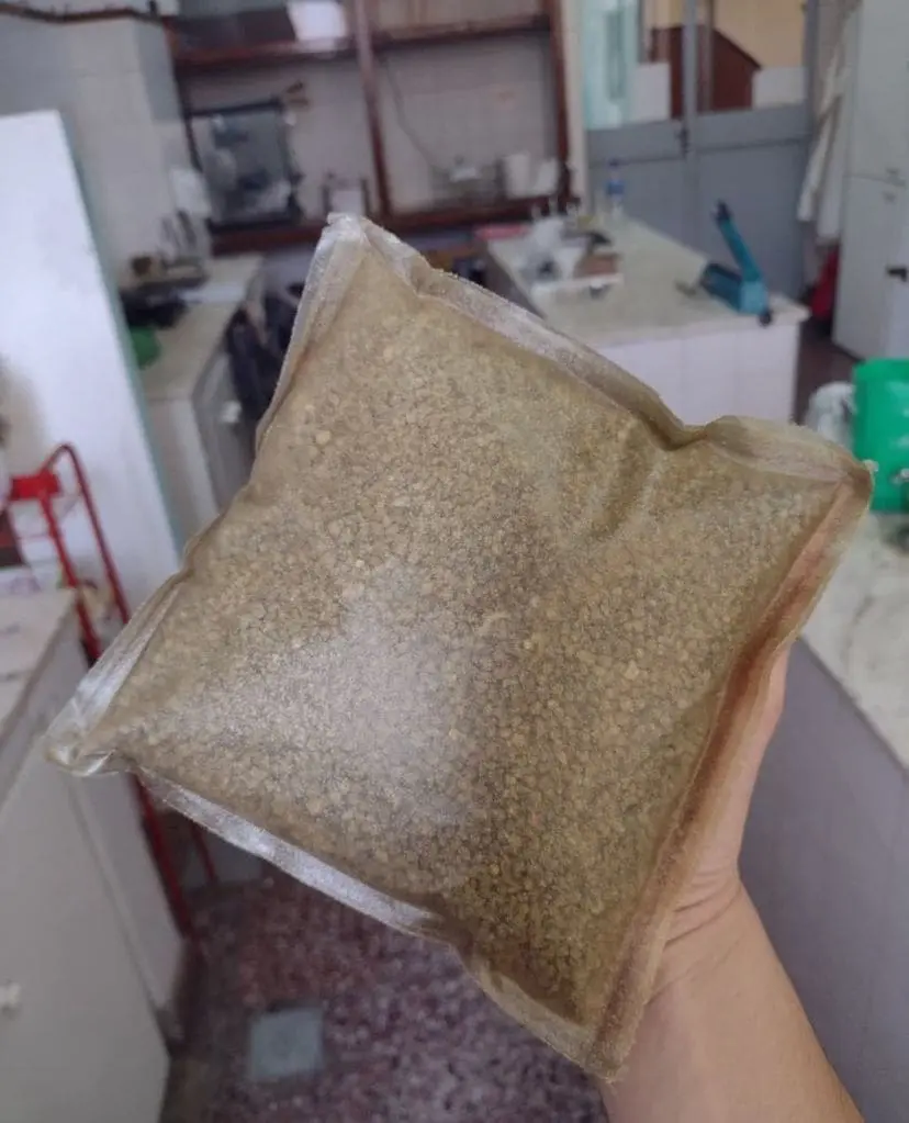 Fabrican un bioplástico con desechos de cítricos que alimenta a la tierra