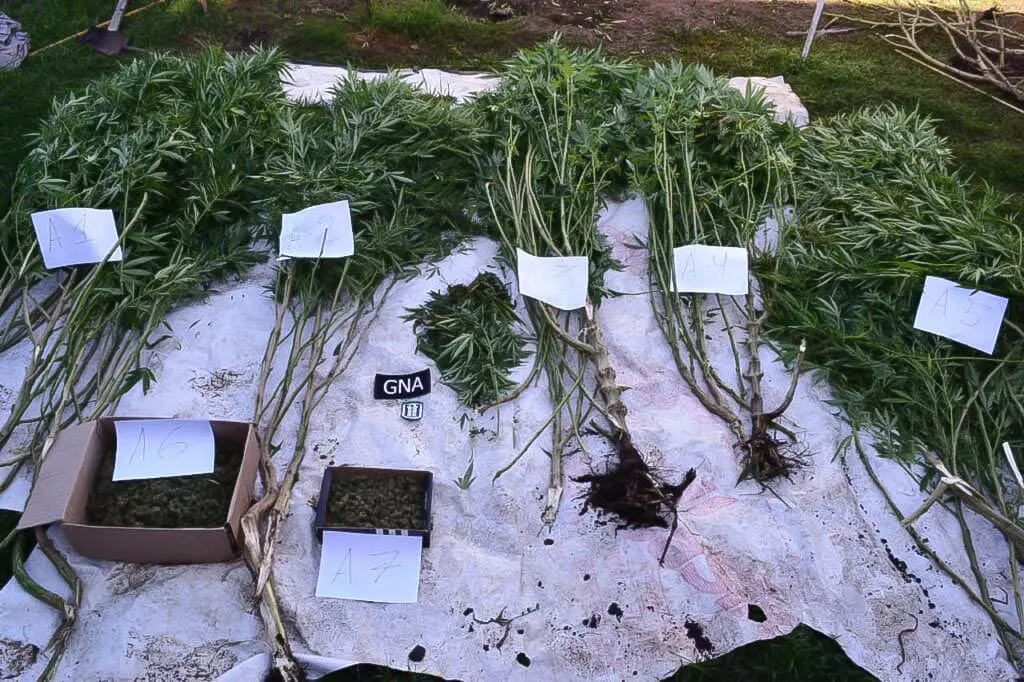 Villa Cañás: Condenaron a cinco años de prisión a un vendedor de droga