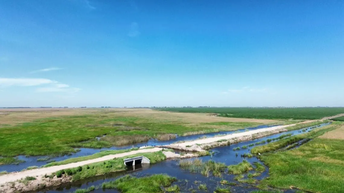 Santa Isabel refuerza gestiones por alteo ilegal que afecta la circulación y la producción local