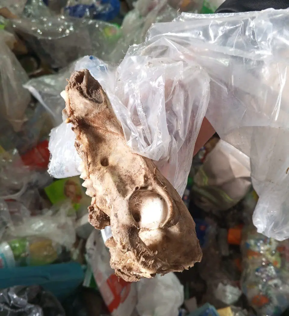 Indignación en Villa Cañás: Puntos Verdes convertidos en mini basurales por la falta de educación