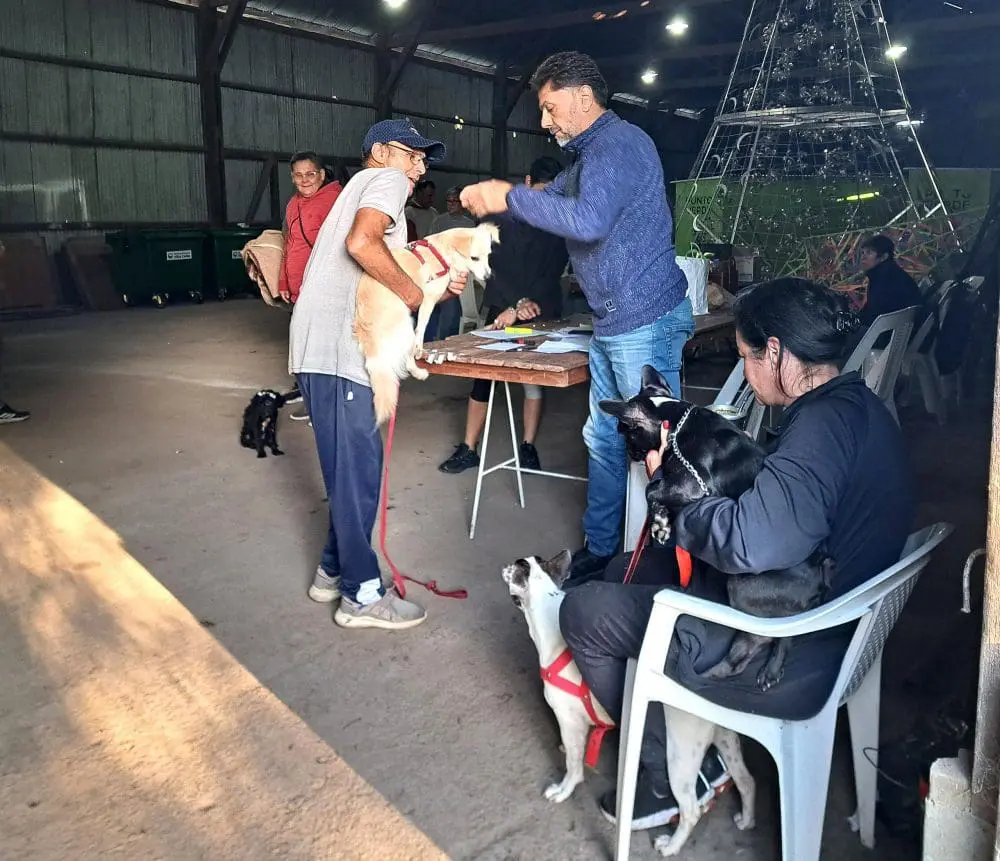 Villa Cañás: Se realizó una nueva jornada gratuita de castraciones y vacunaciones