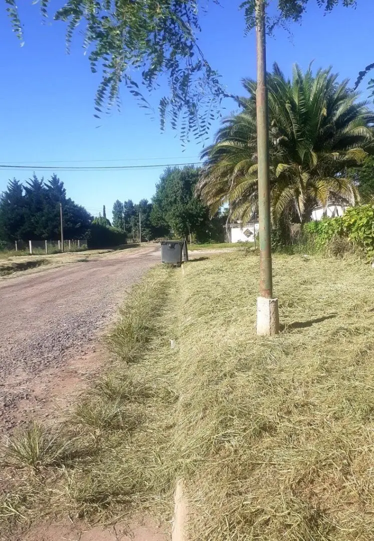 Villa Cañás: Nueva encuesta evidencia estancamiento, expectativas incumplidas y reclamos sin atender en los barrios Villa Cañás: Nueva encuesta evidencia estancamiento, expectativas incumplidas y reclamos sin atender en los barrios