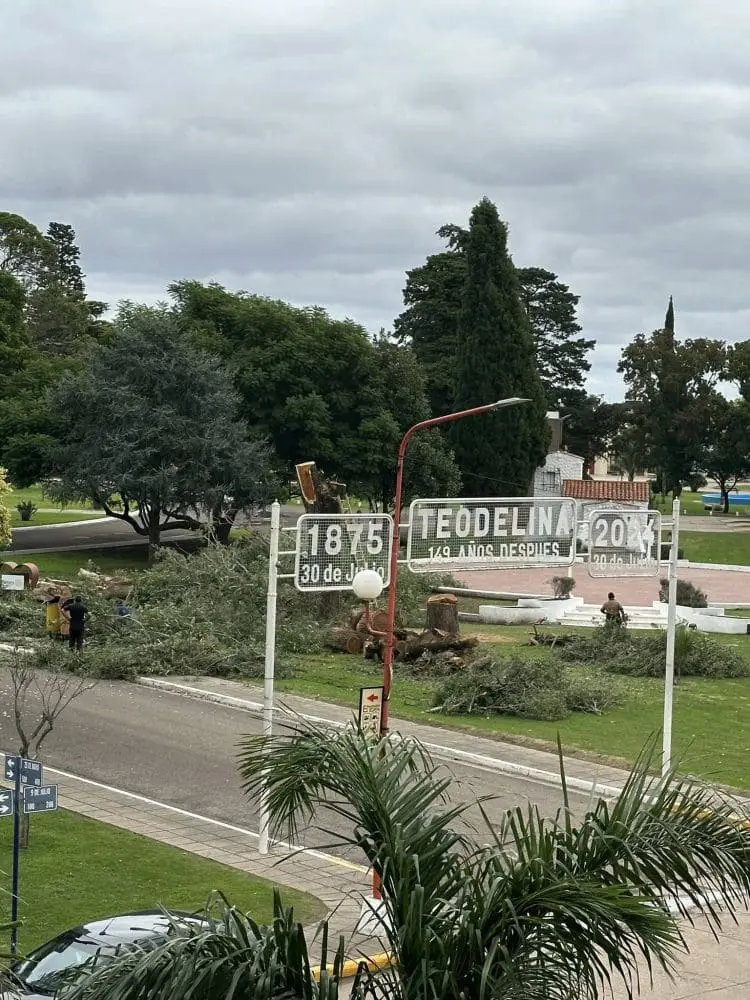 Motosierras en Teodelina: Polémica por la tala de árboles en la Plaza Ituzaingó