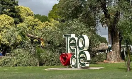 Motosierras en Teodelina: Polémica por la tala de árboles en la Plaza Ituzaingó