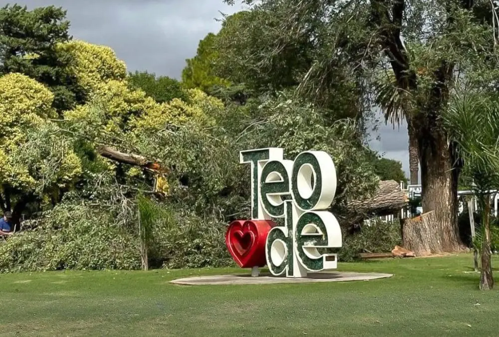 Motosierras en Teodelina: Polémica por la tala de árboles en la Plaza Ituzaingó