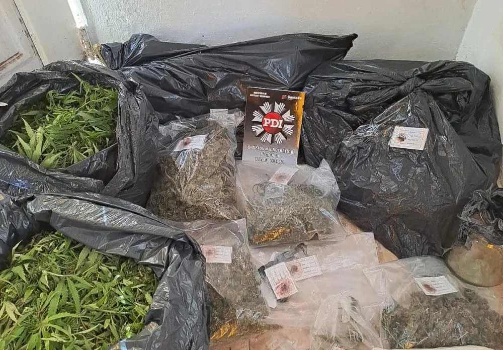 Venado Tuerto: Una mujer y un hombre detenidos por una investigación con secuestro de droga