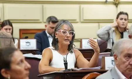 Discapacidad en Emergencia: Rosana Bellatti repudió los dichos del titular de ANDIS, es urgente ponerle un límite a tanta crueldad