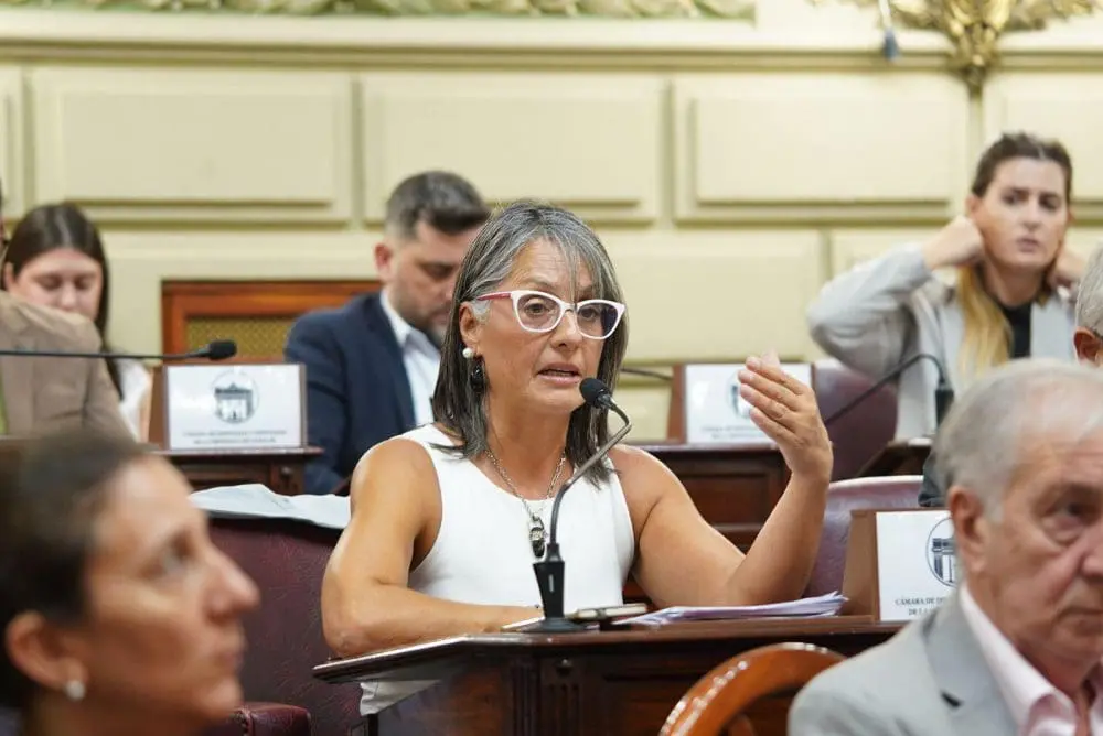 Discapacidad en Emergencia: Rosana Bellatti repudió los dichos del titular de ANDIS, es urgente ponerle un límite a tanta crueldad